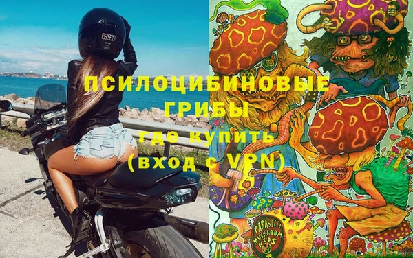 шишки Балабаново