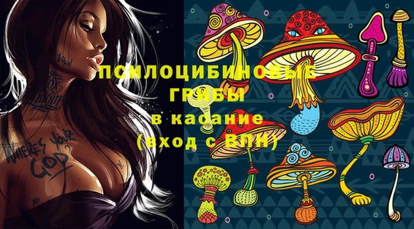 шишки Балабаново