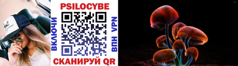 Псилоцибиновые грибы ЛСД  Горно-Алтайск 