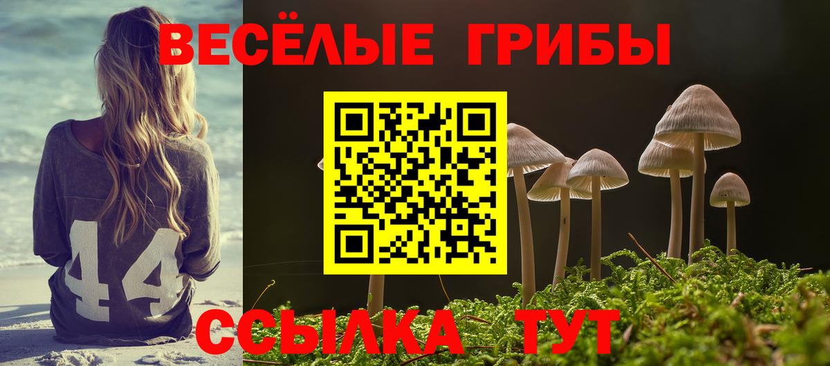 Псилоцибиновые грибы Psilocybe  Вход с VPN  Псилоцибиновые грибы ЛСД  Горно-Алтайск 