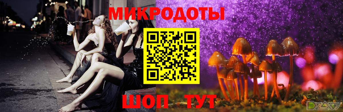 Галлюциногенные грибы MAGIC MUSHROOMS Горно-Алтайск